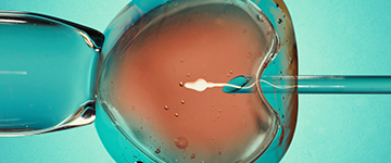 In vitro Fertilisation- worauf beruht eine künstliche Befruchtung?