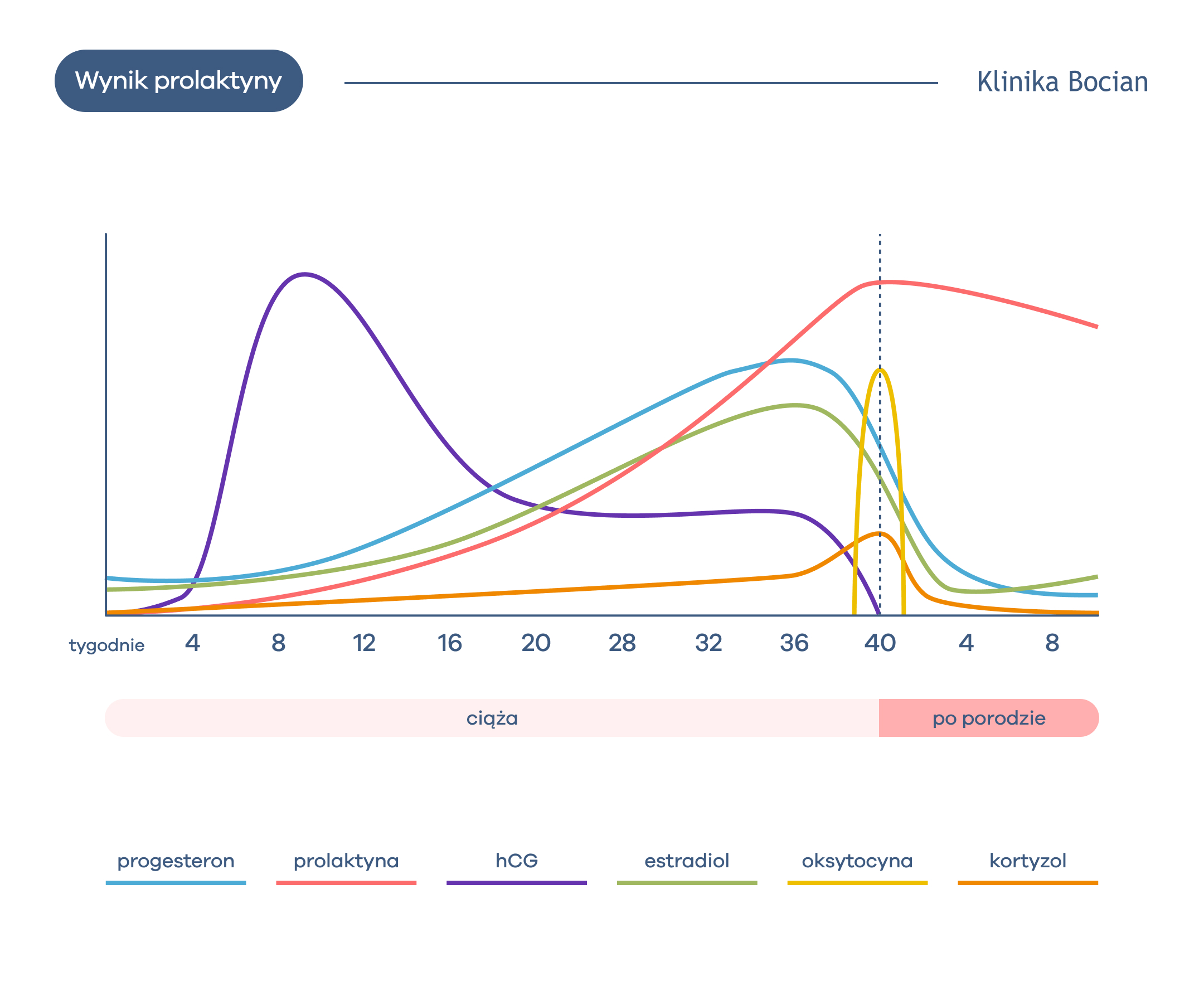 Co oznacza wynik prolaktyny?