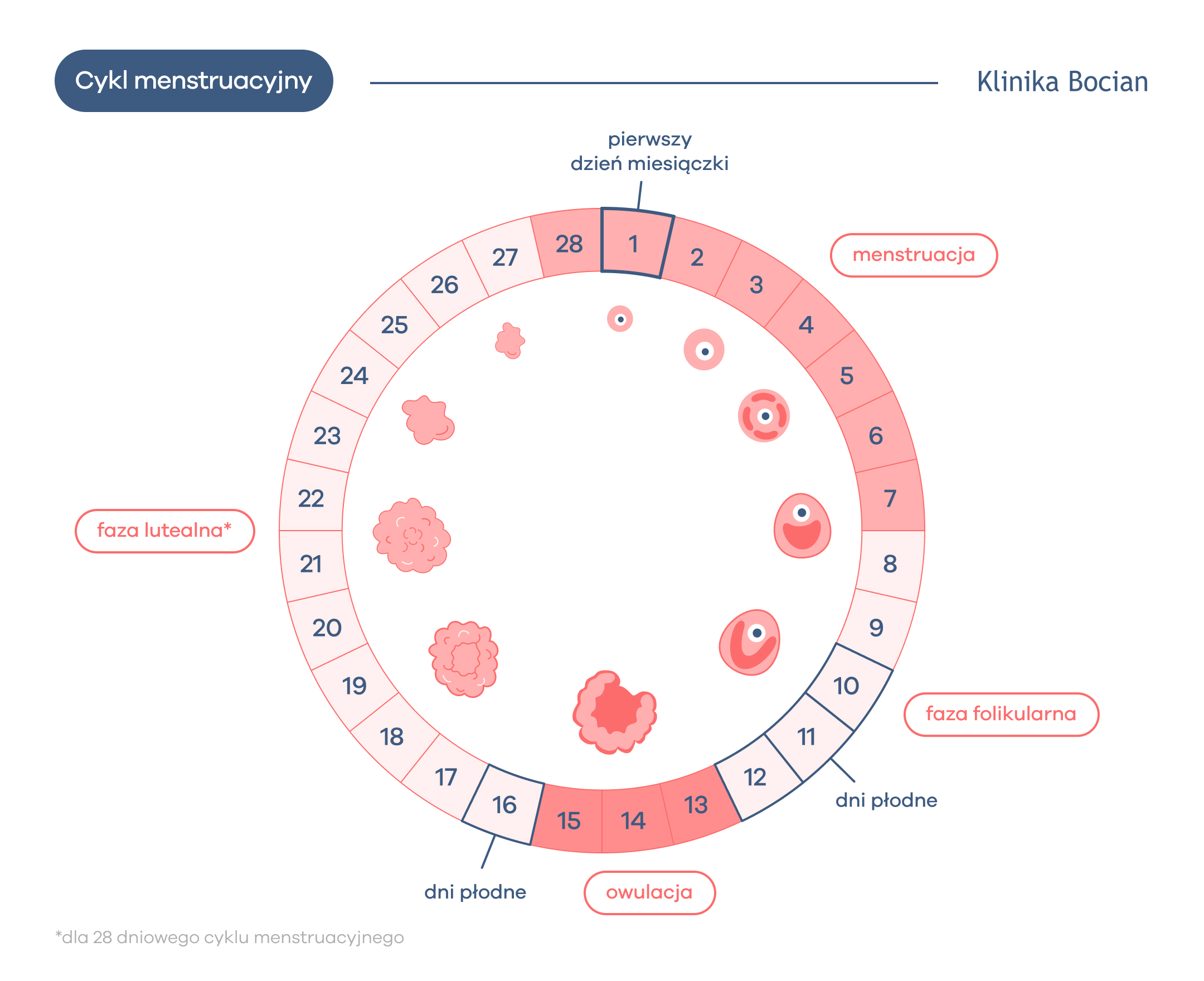 Jak rozpoznać dni płodne i owulację? 
