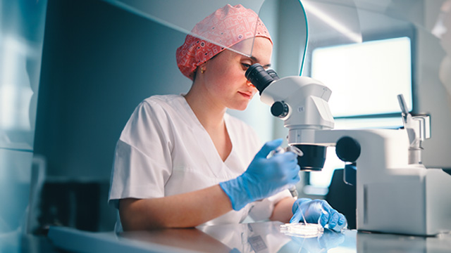 Präimplantationsdiagnostik (PID) bei der In-vitro-Fertilisation (IVF): PGT-A, PGT-SR und PGT-M