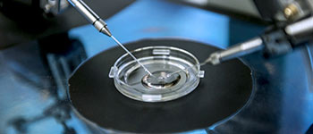 IVF using the IMSI method: What does it involve and when is it recommended?
