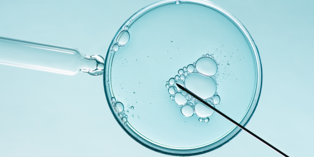 IVF in Poland – why do couples from Europe choose treatment here?