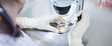 The role of an embryologist in the IVF procedure